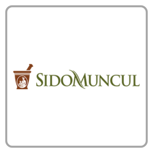 Sidomuncul